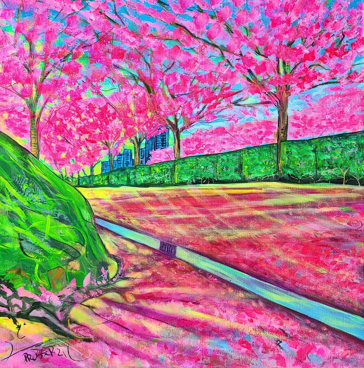 Cherry Blossoms on Rosser Street&#39;