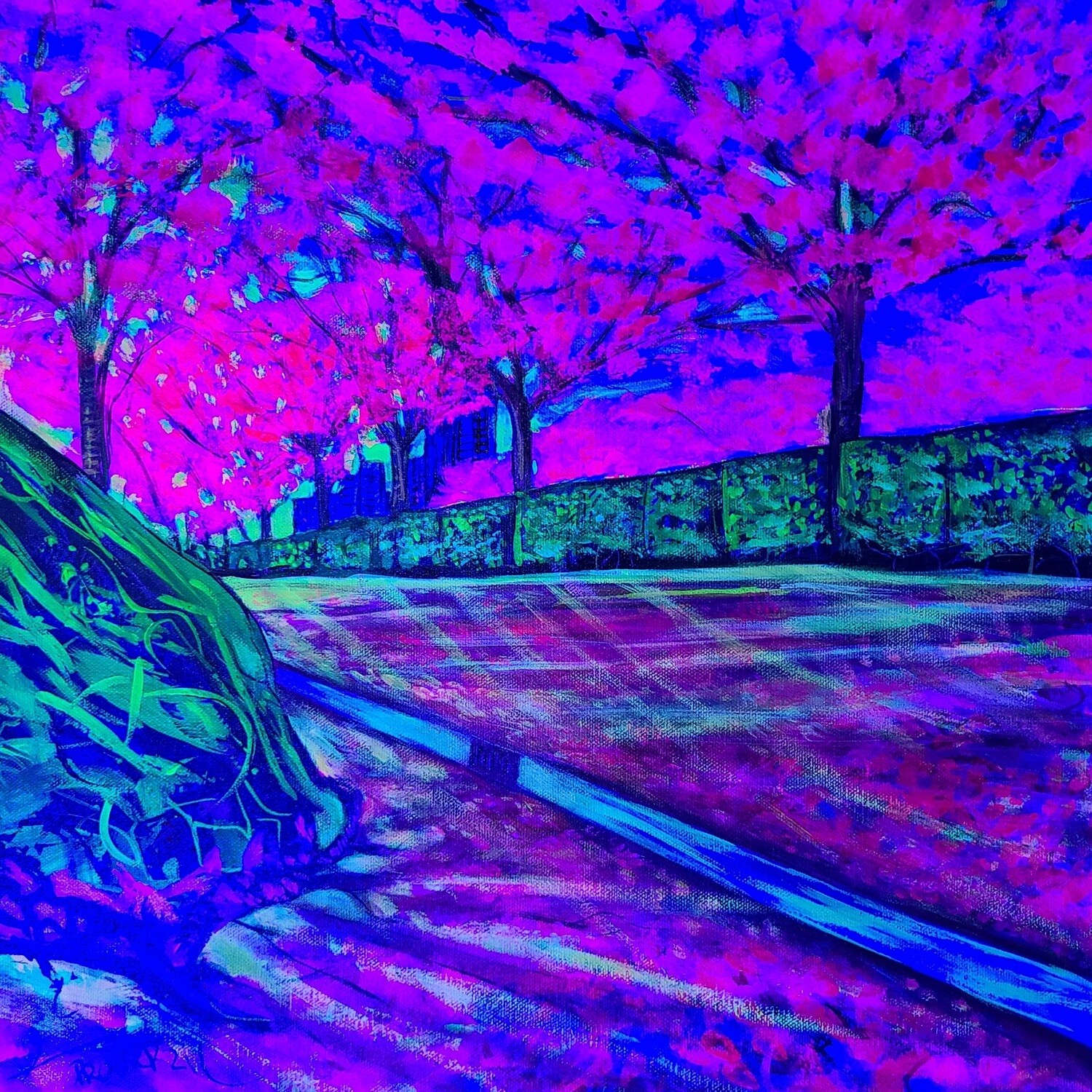 Cherry Blossoms on Rosser Street'