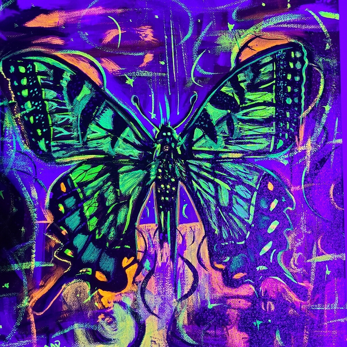 Tiger Butterfly