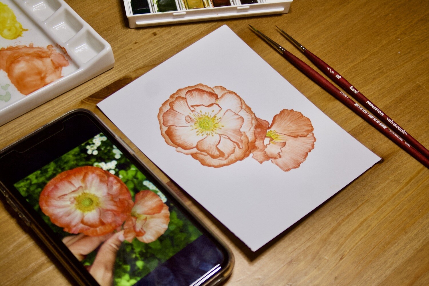 Iceland Poppies