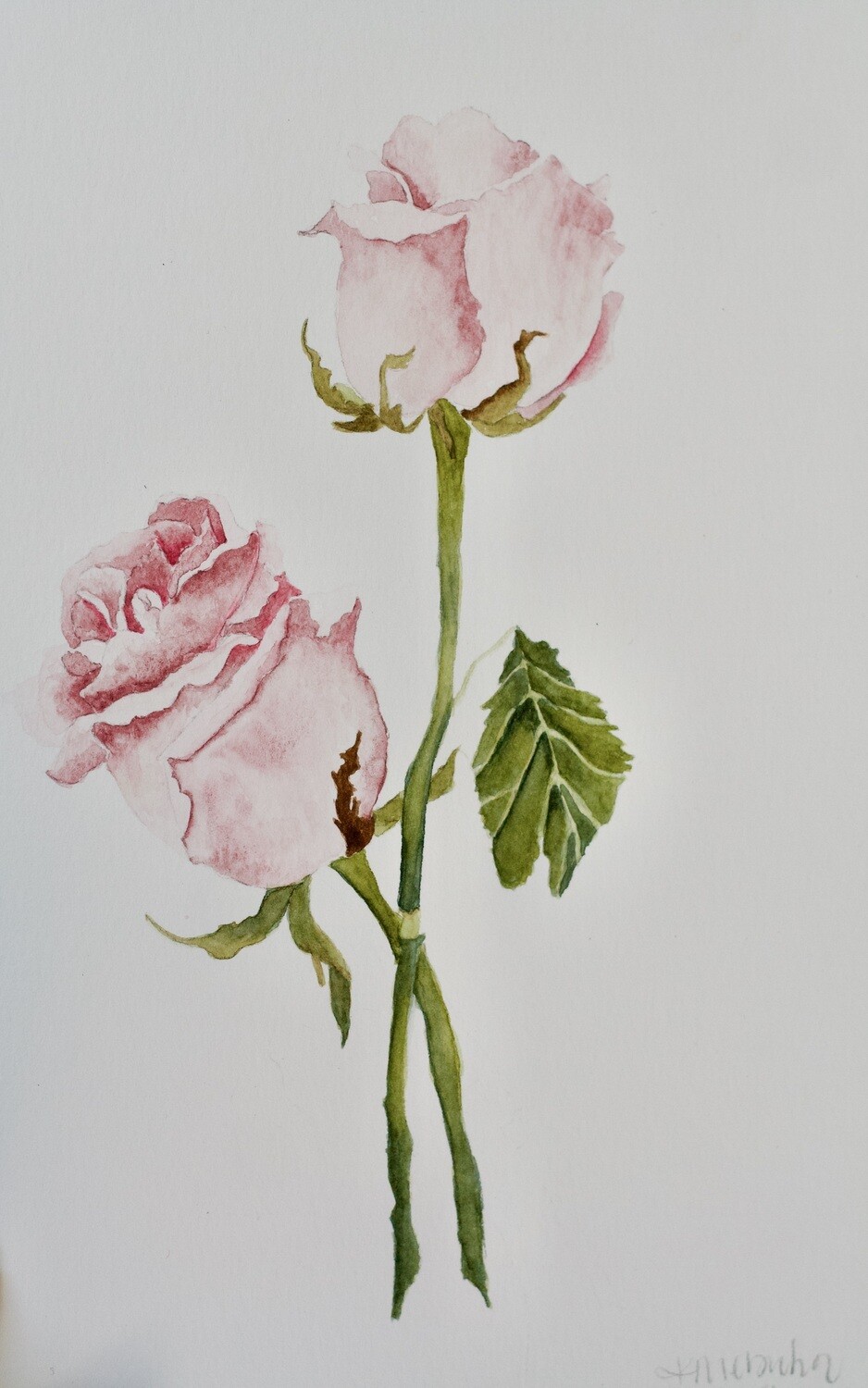 (SOLD)Pink Roses