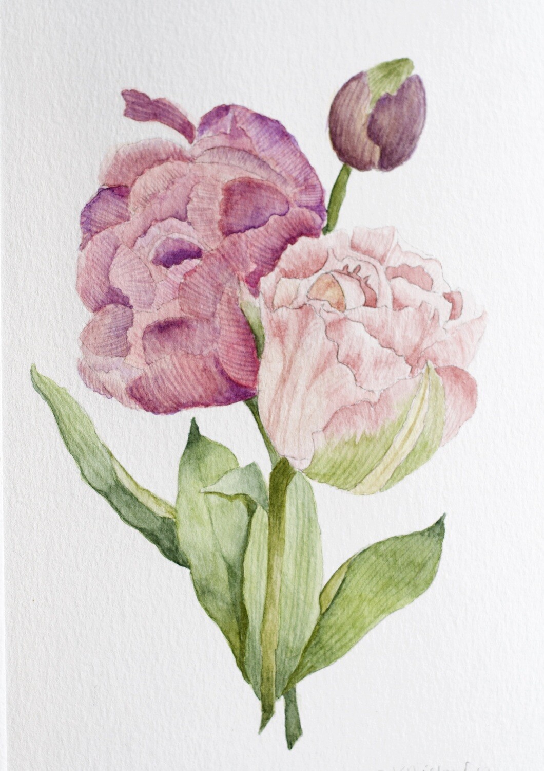 (SOLD)Vintage Tulips