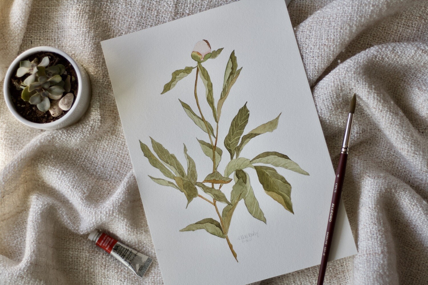 Leafy Peony Bud