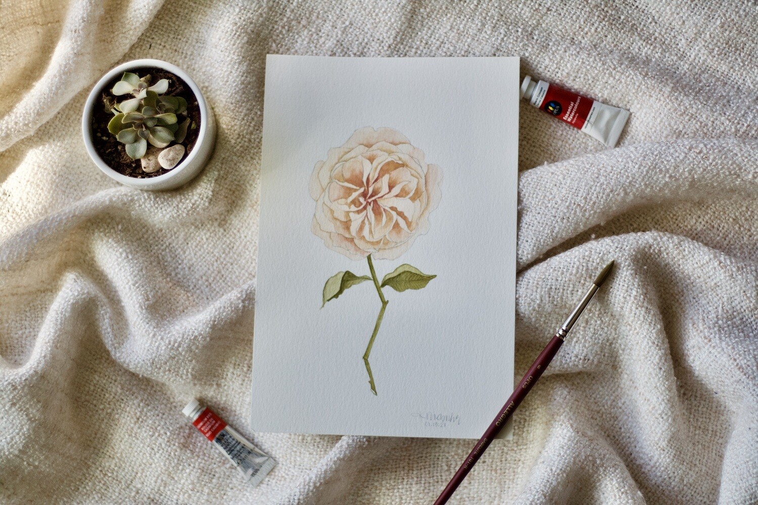 (SOLD)English Rose (Lichfield Angel)