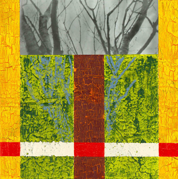 Far Distant Spring