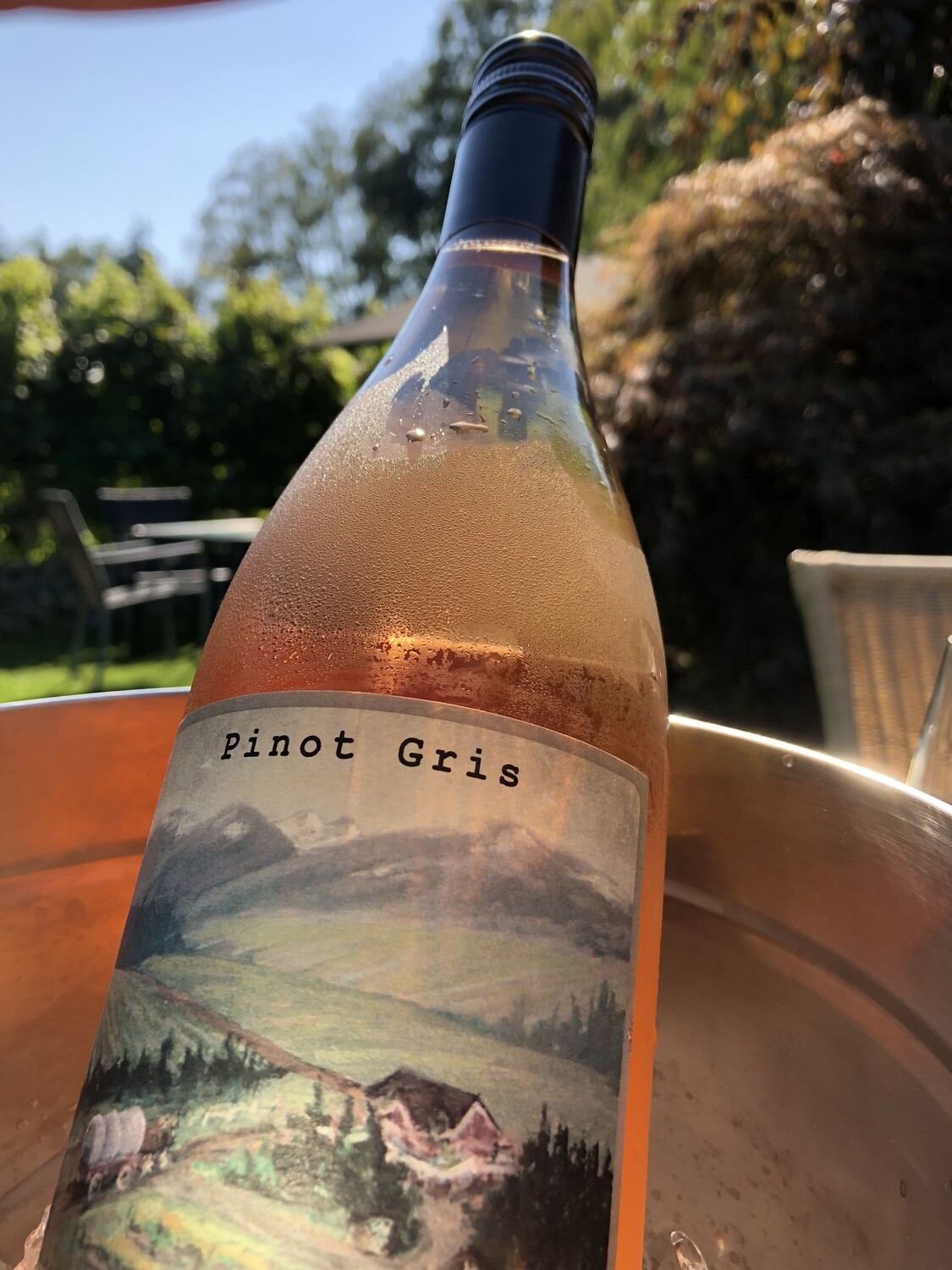 Wine Tour