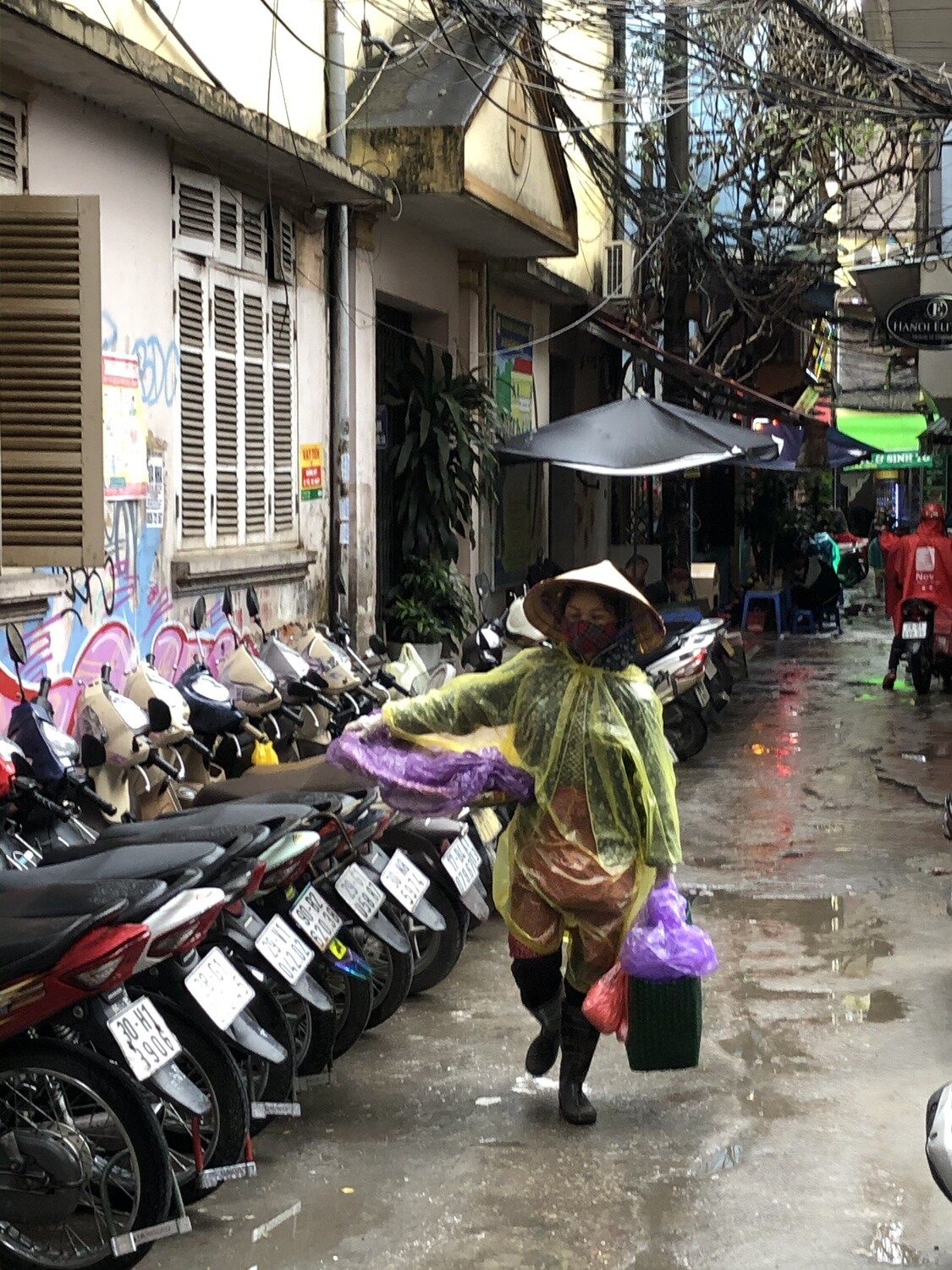 Wonder of Vietnam