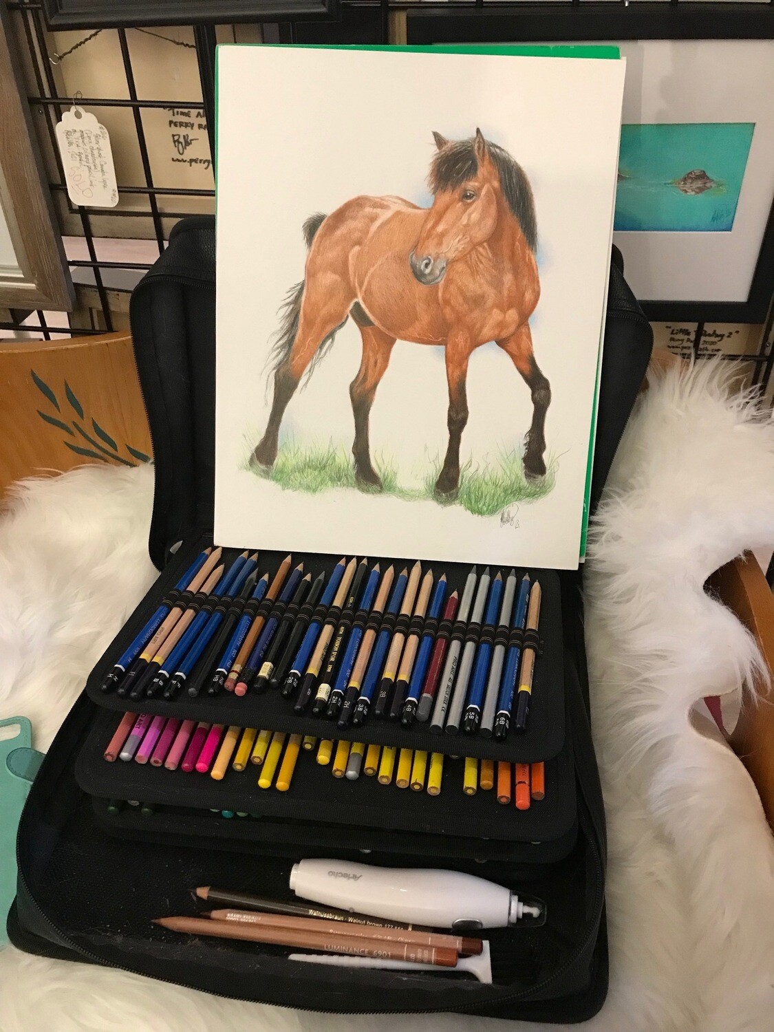 (SOLD)Wild stallion (Equus ferus).