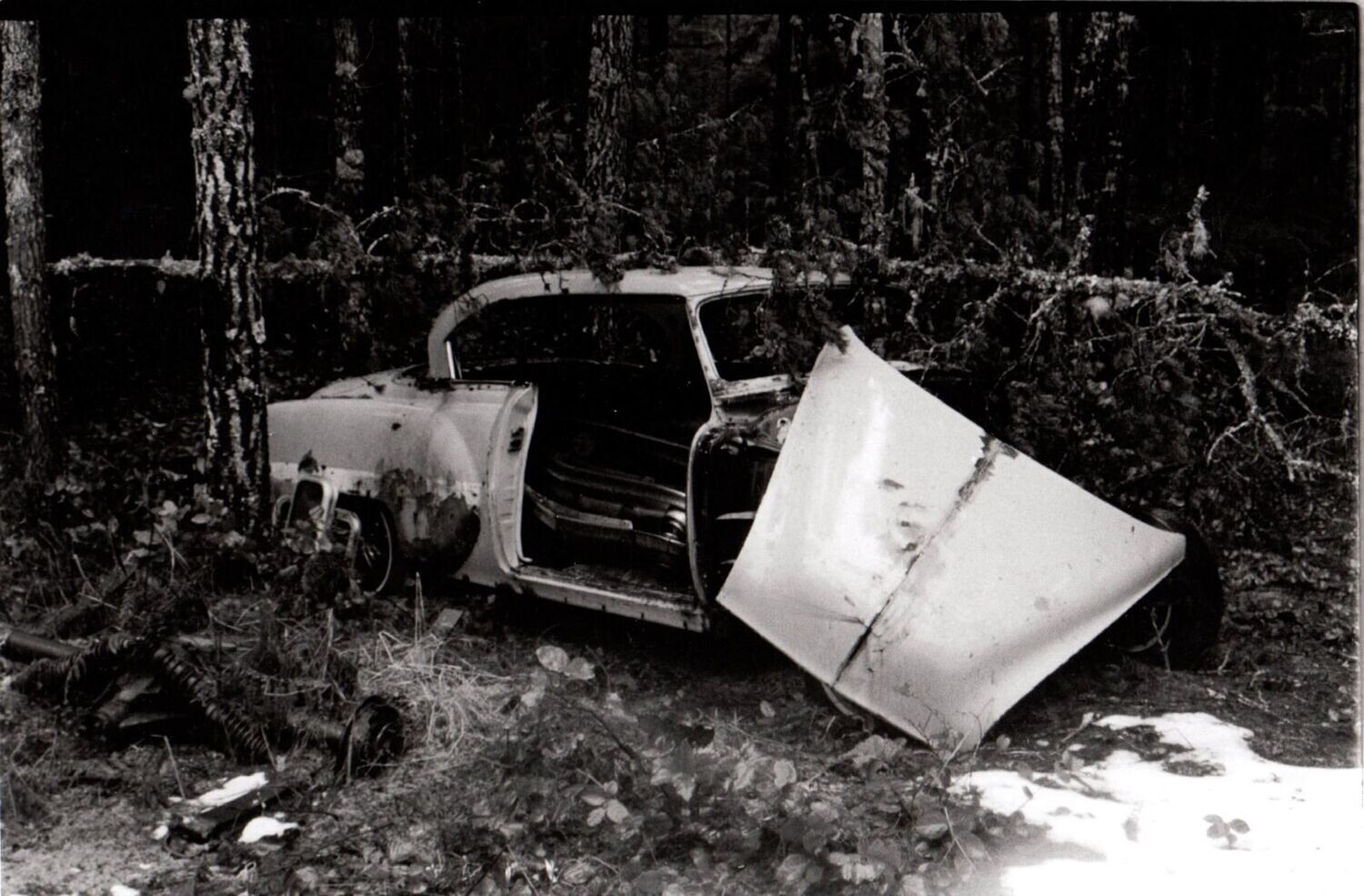 Abandoned Beauty 1/6 Art Print