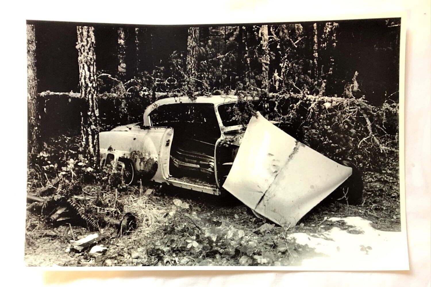 Abandoned Beauty 1/6 Art Print