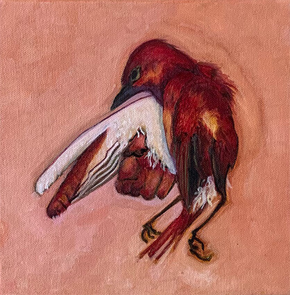 Red Bird, Dead Bird&quot;