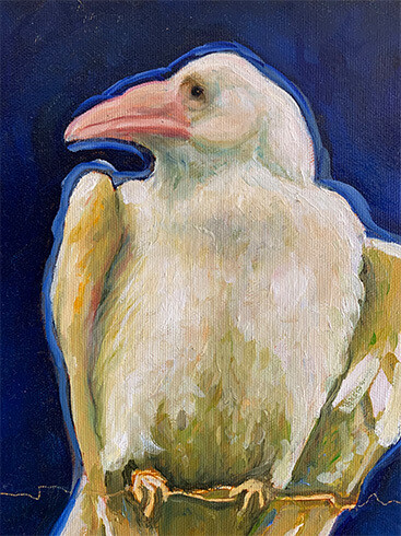 "White Raven"