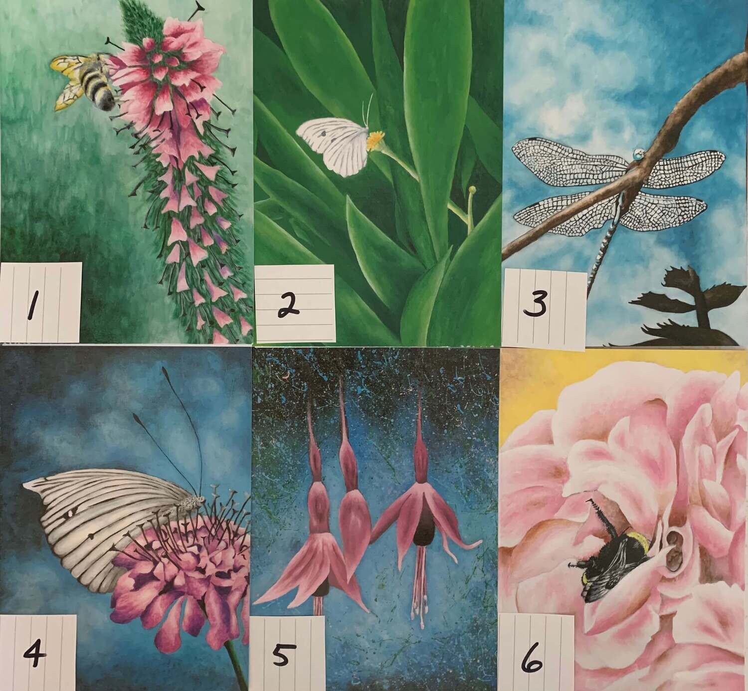 WildLife Art Cards - 3 pack for $15.00