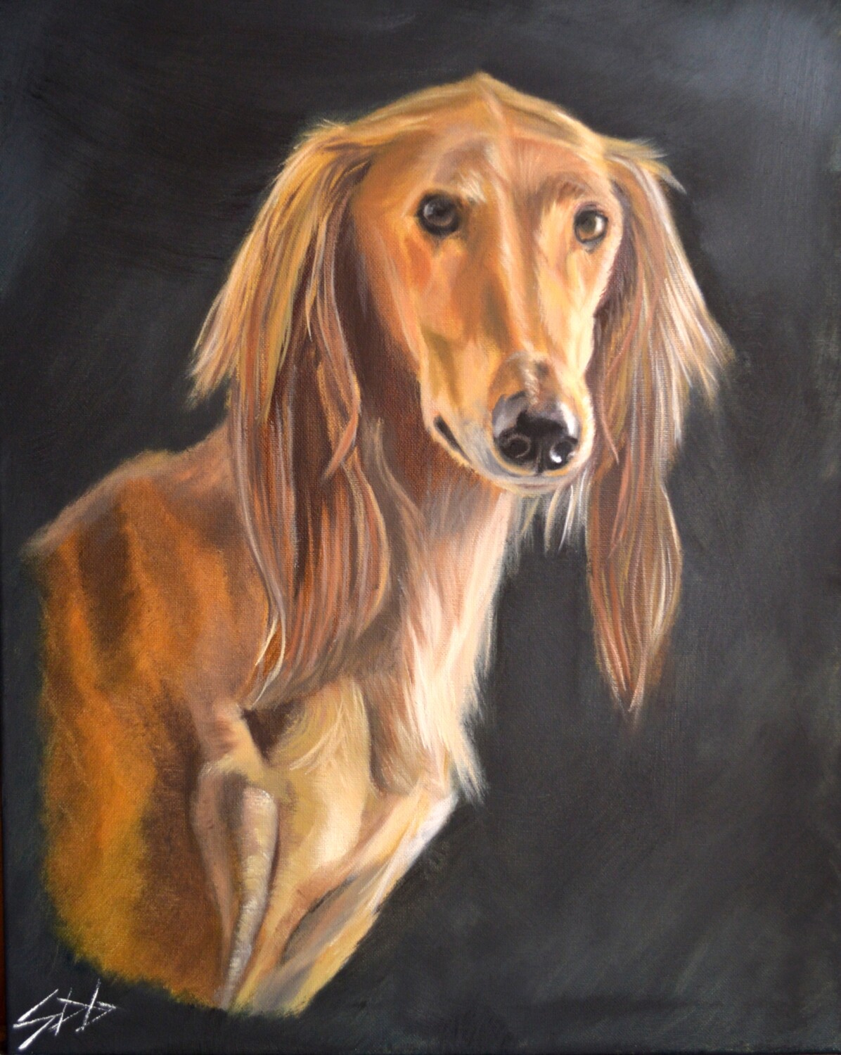 Saluki