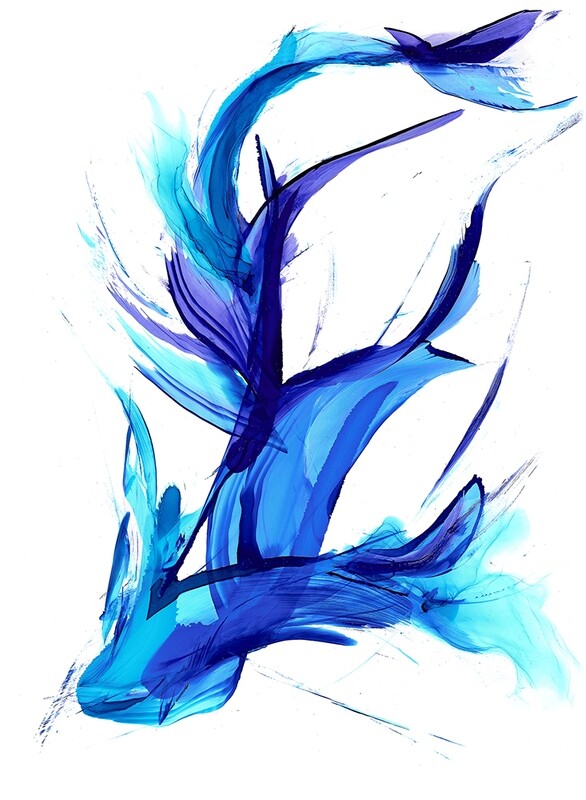 Barracuda