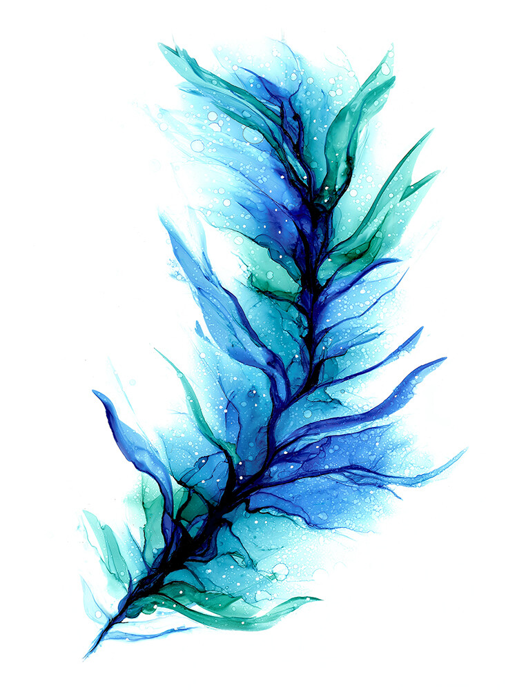 Thunderbird Feather
