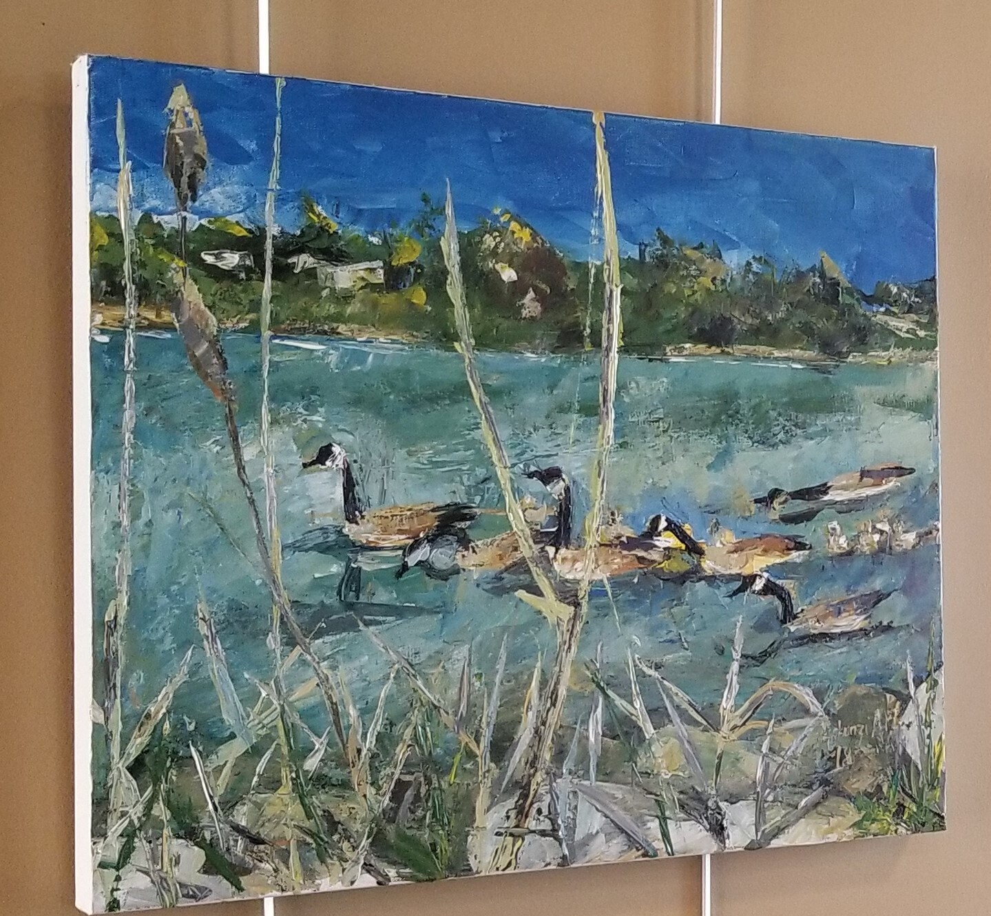 Swimming Geese