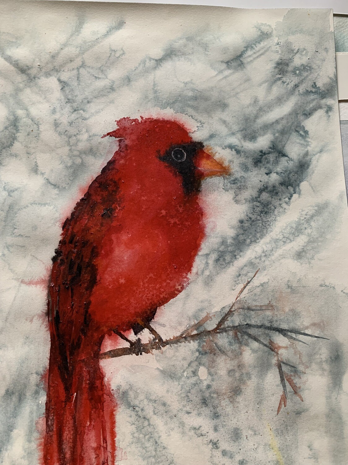 Red beard