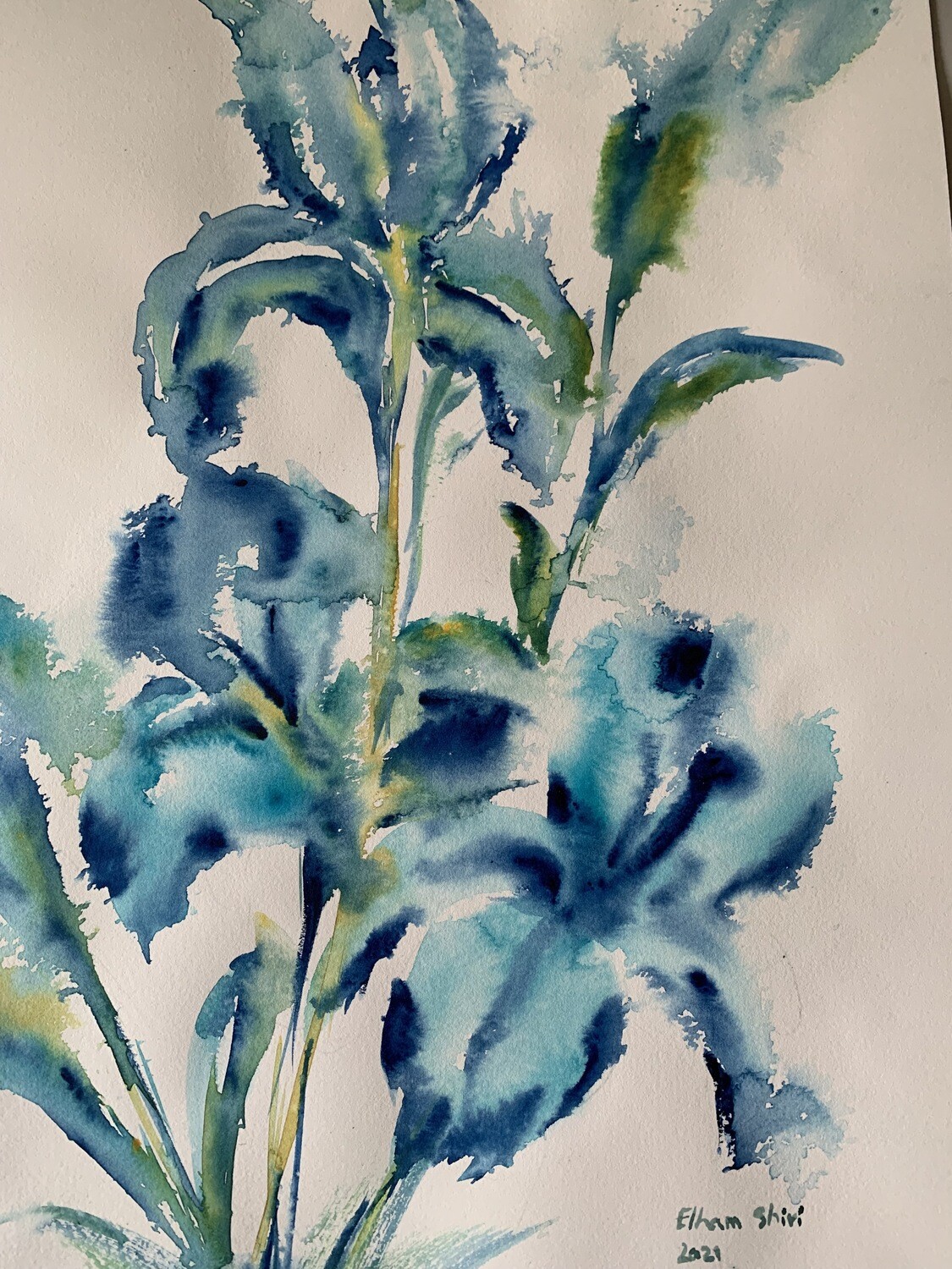 Blue Flower