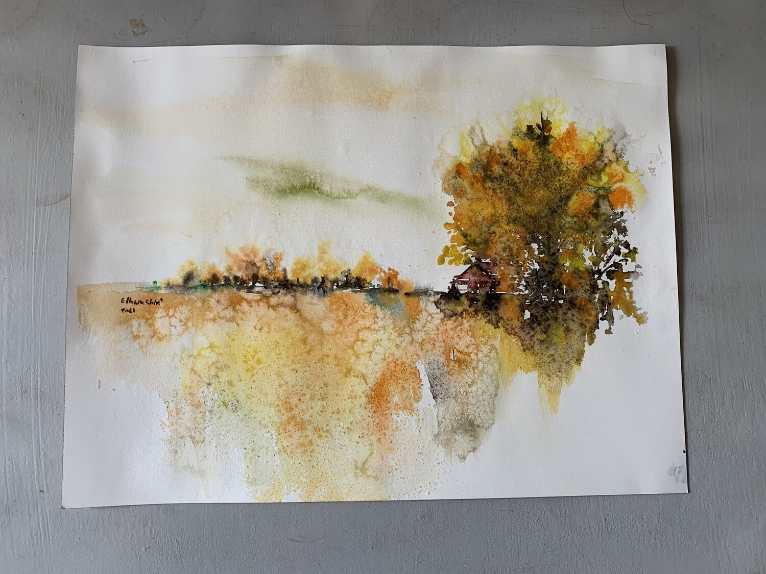 Orange Nature