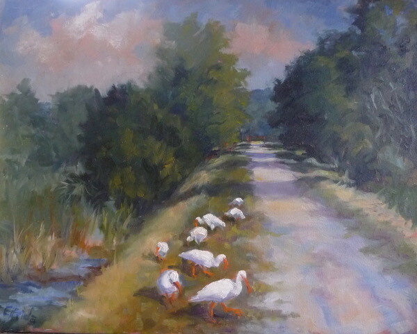 Ibis on the Trail