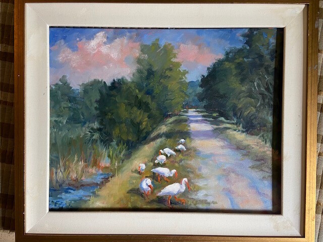 Ibis on the Trail