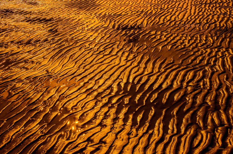 GOLDEN SAND