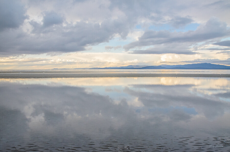 LIGHT LANGUAGE Parksville Beach