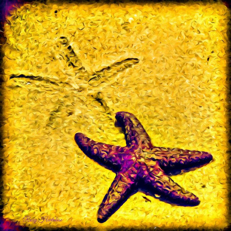 STAR TRACK