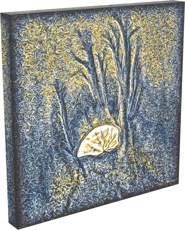 DESIGNER Sand Dollar