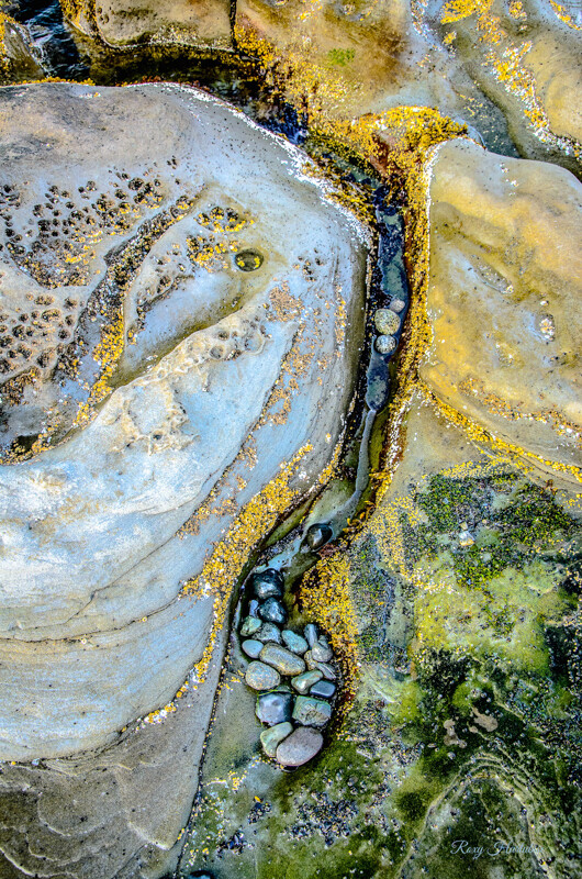 EMBEDDED