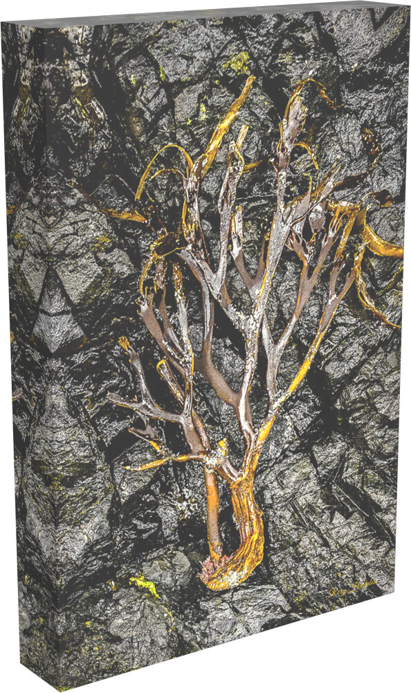 SEA TO TREE