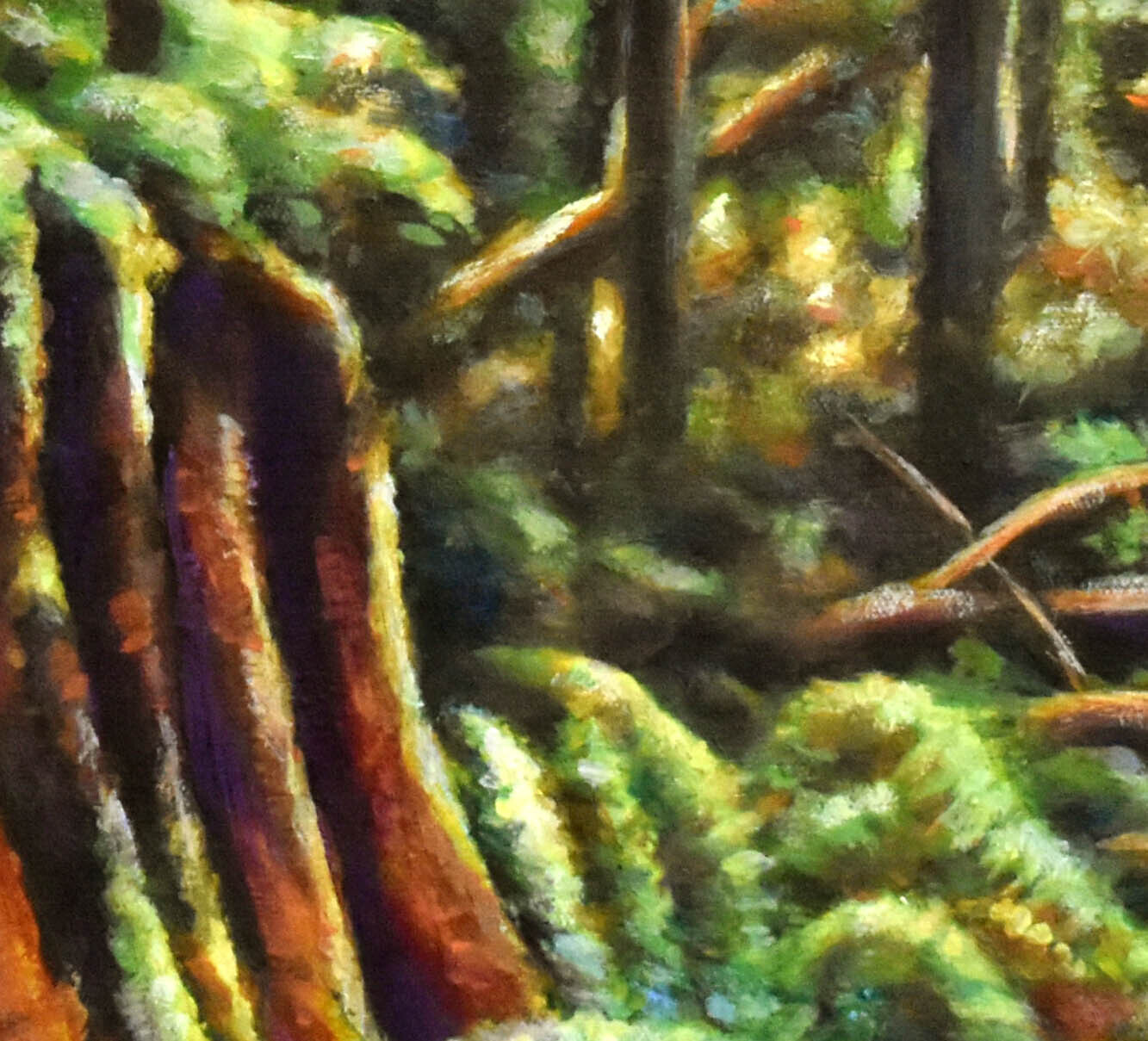 Forest Light