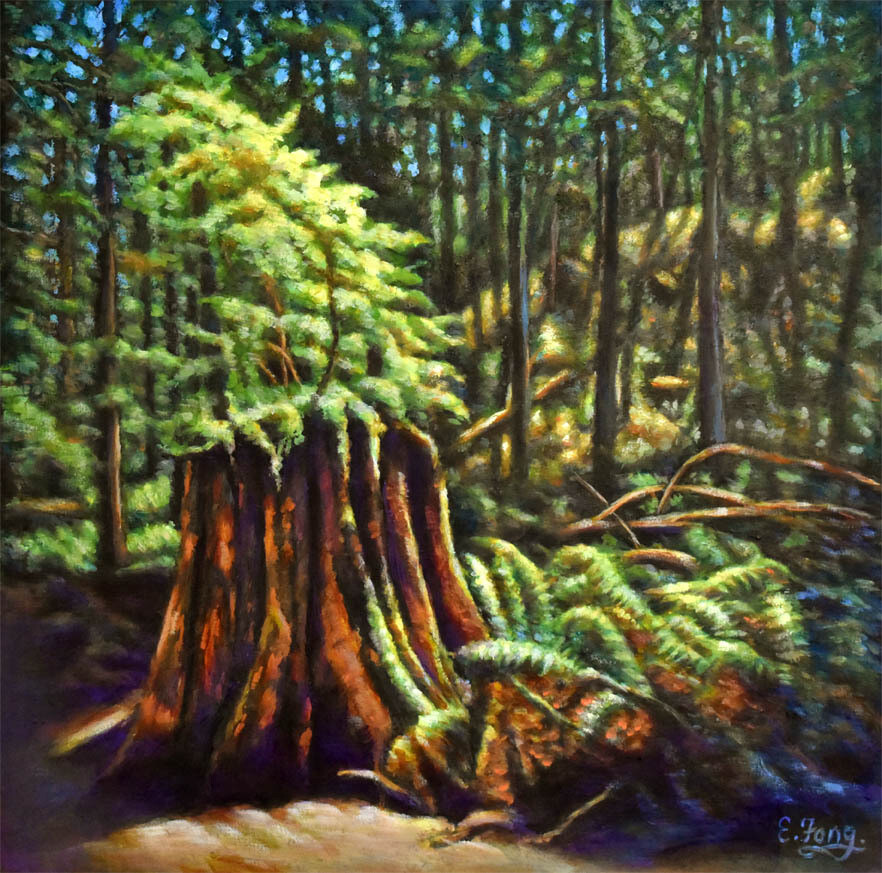 Forest Light