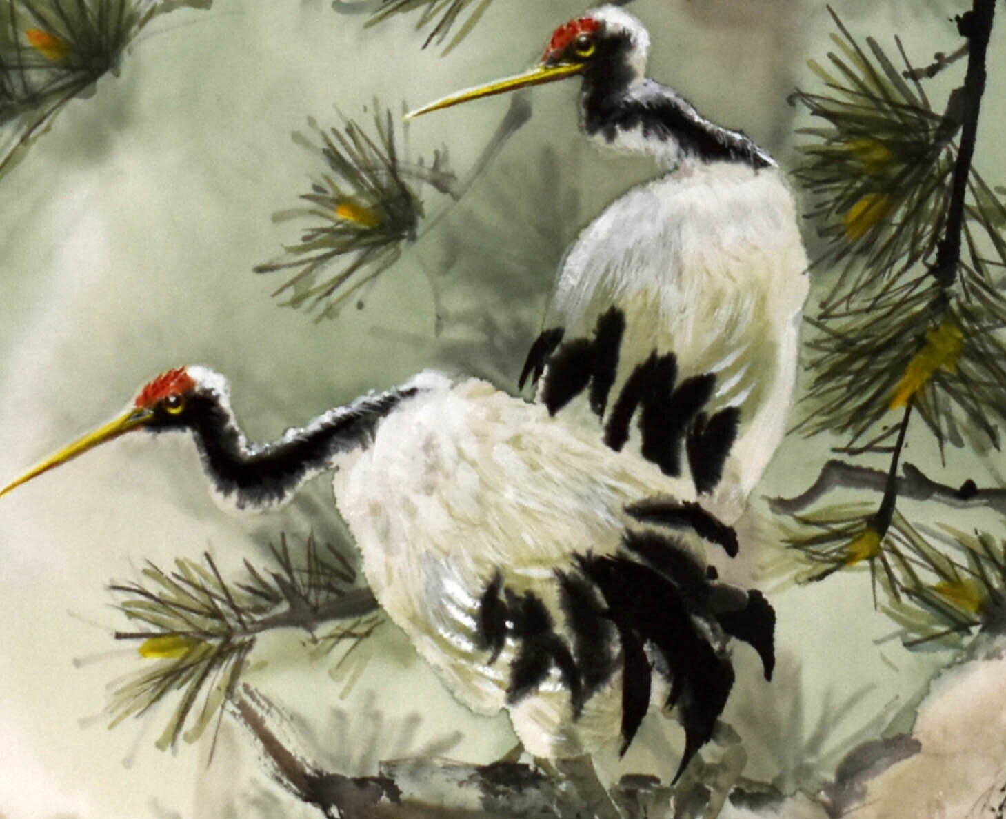 Cranes in Pine Tree