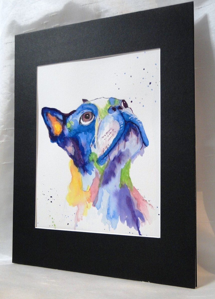 Rainbow Frenchie