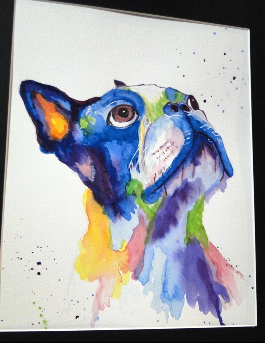 Rainbow Frenchie