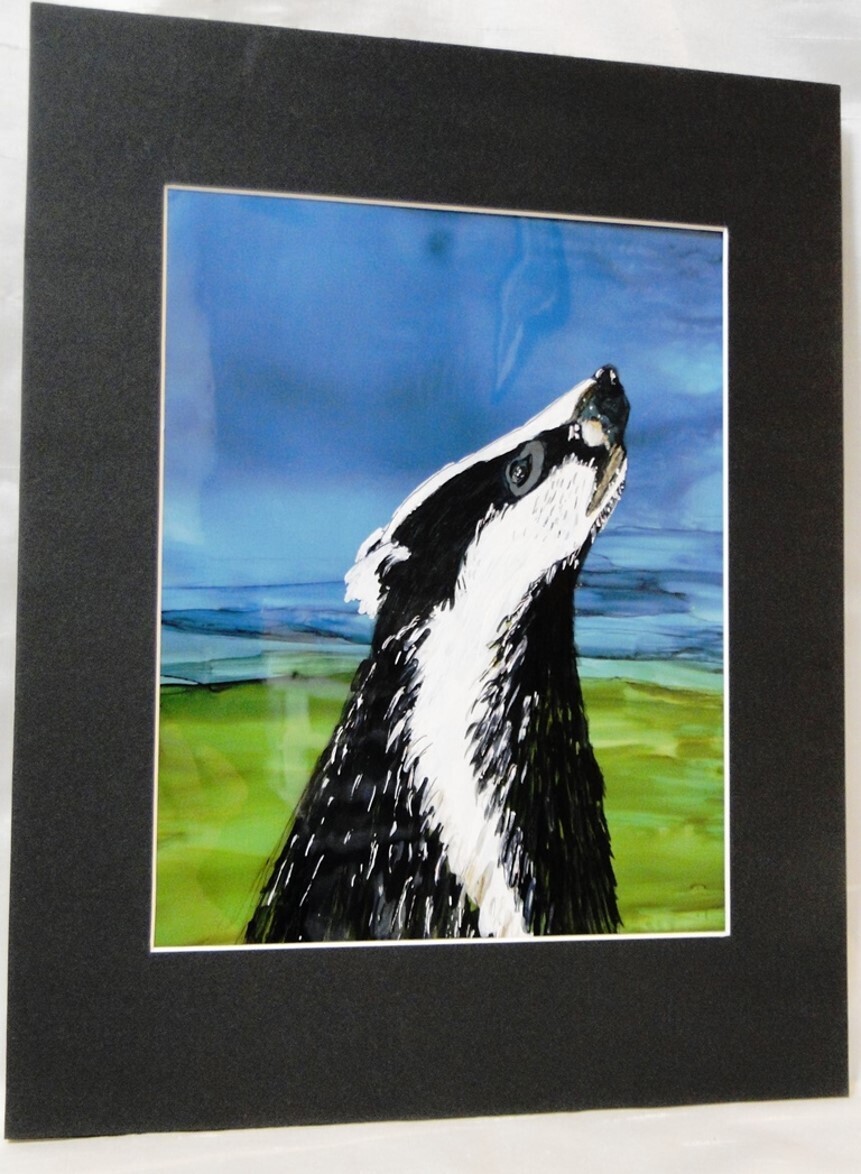 Badger