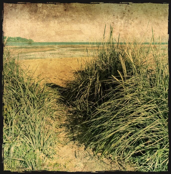 VINTAGE BEACH