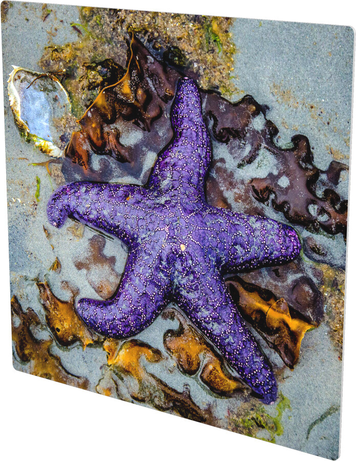 ON A BED OF SEAWEED