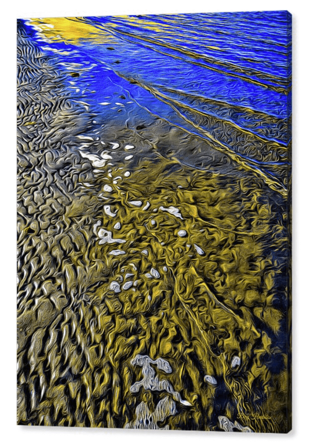 EBB &amp; FLOW