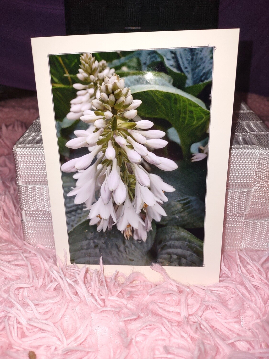 Flower Card 5