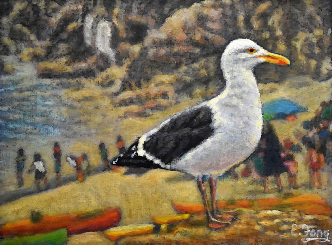 Seagull on the Beach