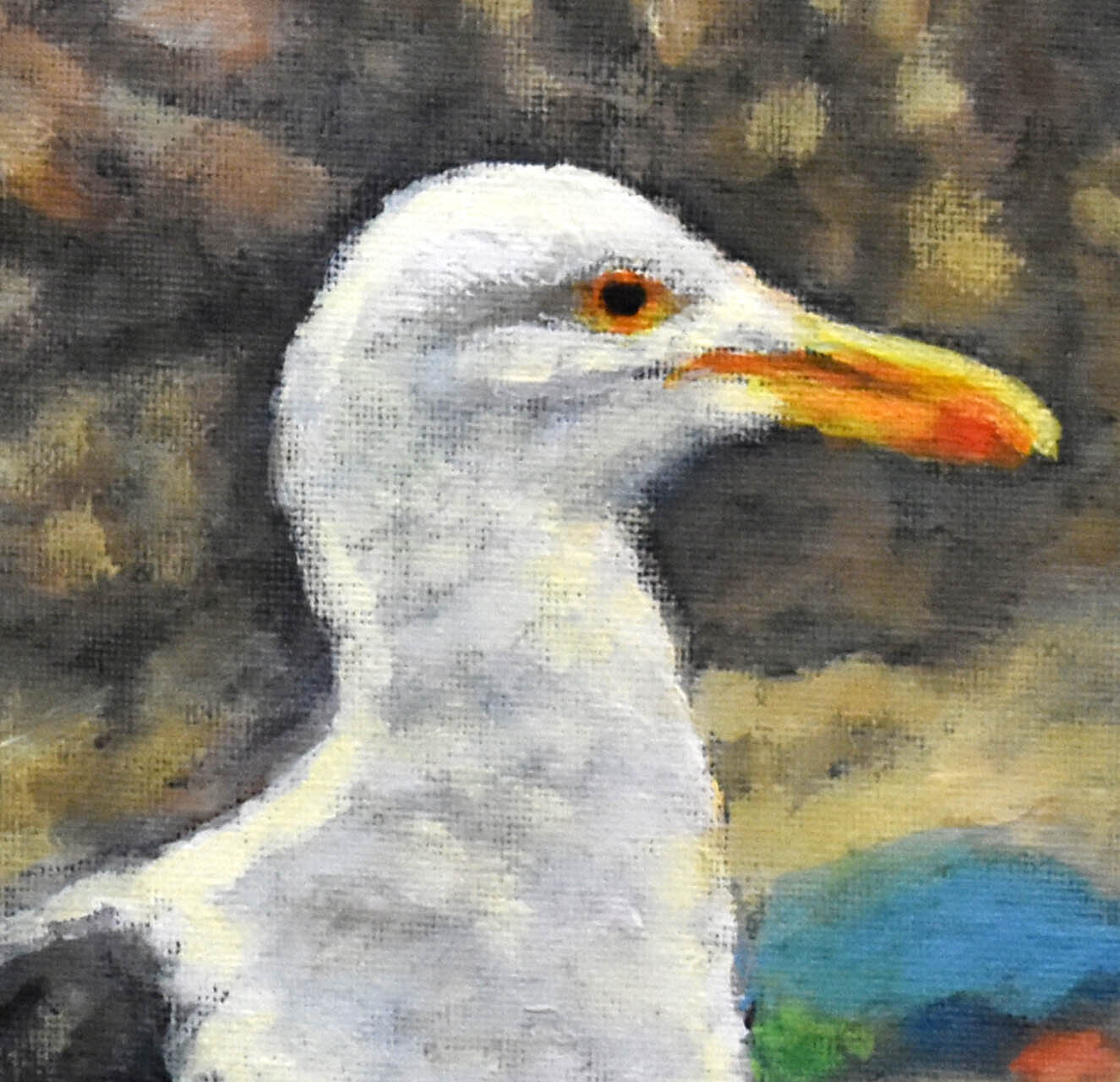 Seagull on the Beach