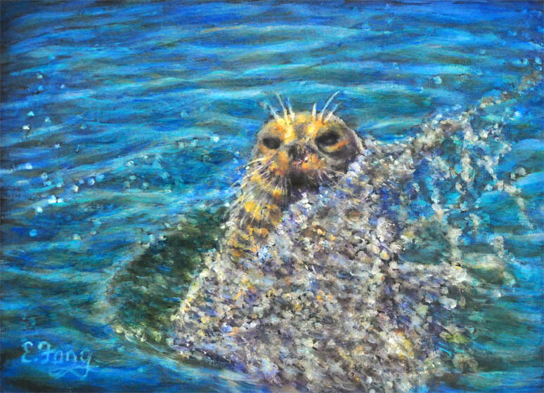 Sea Otter in the Splash