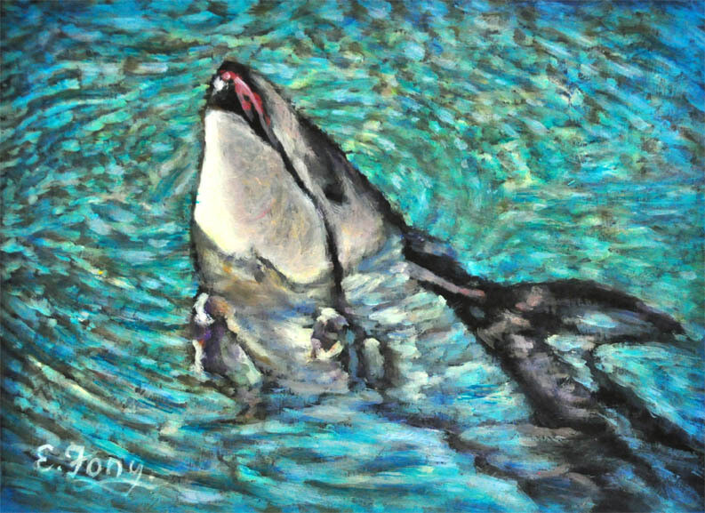 Dolphin at Play