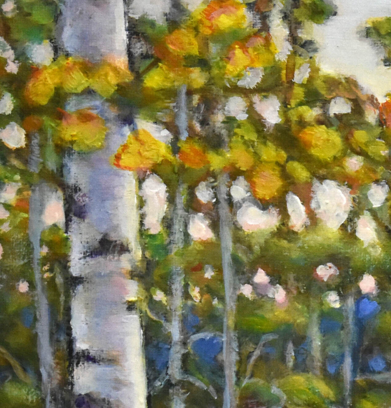 Birch Trees Forest