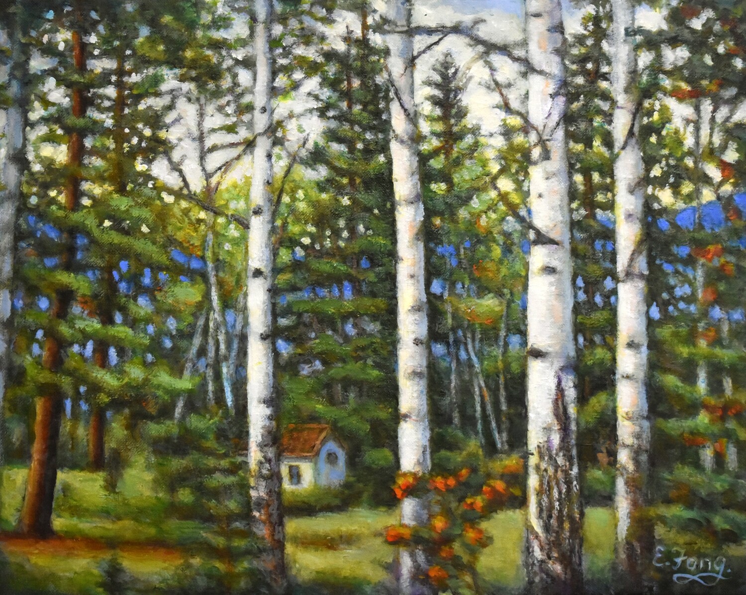 Birch Trees with Cottage