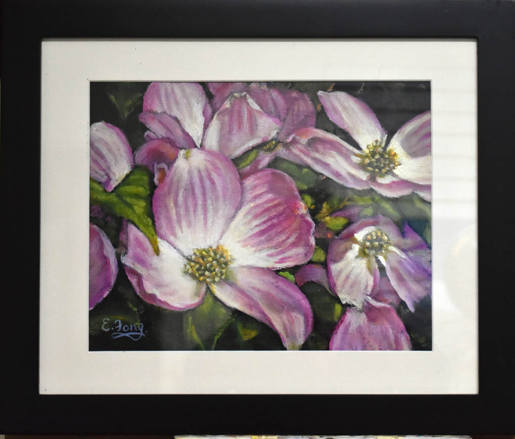 Pink Dogwood in Bloom
