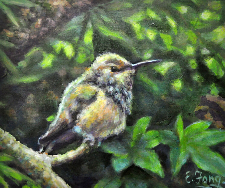 Hummingbird with Green Maple